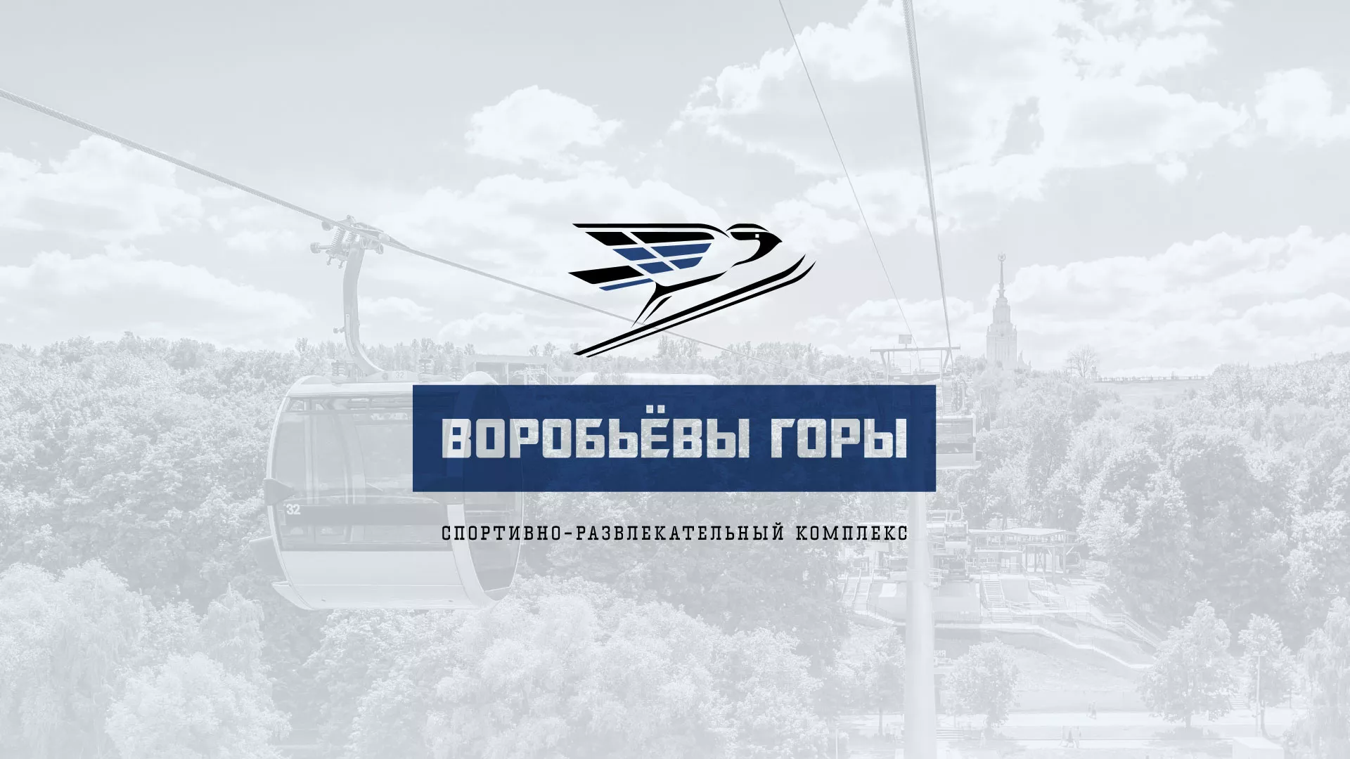 Разработка сайта в Морозовске для спортивно-развлекательного комплекса «Воробьёвы горы»